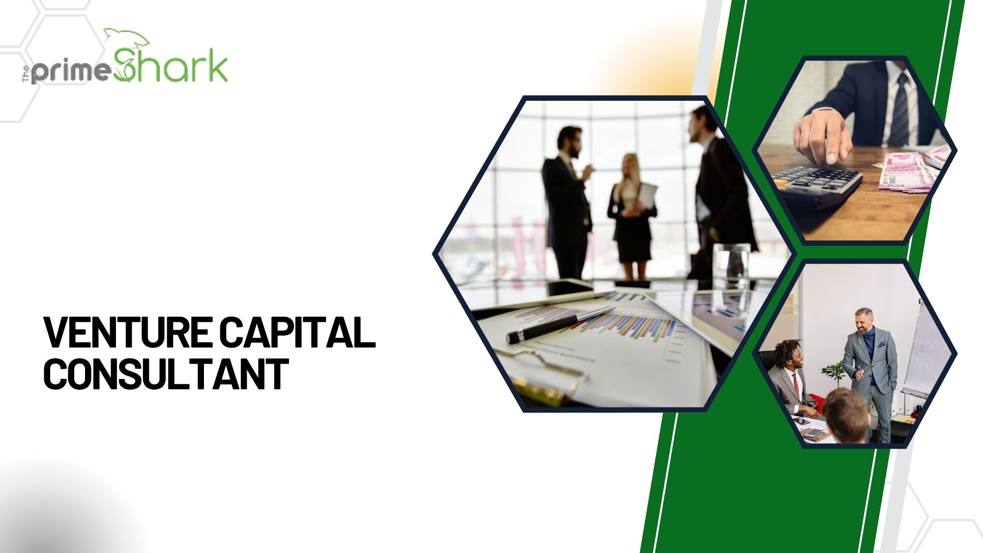 venture capital consultant
