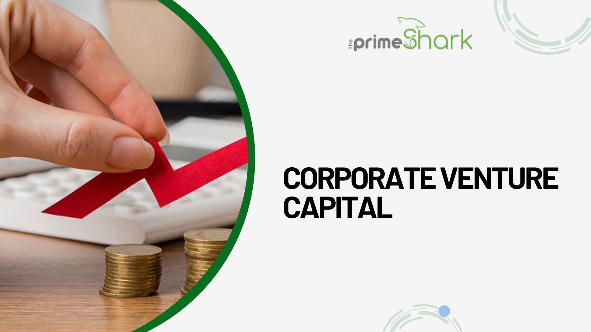 corporate venture capital