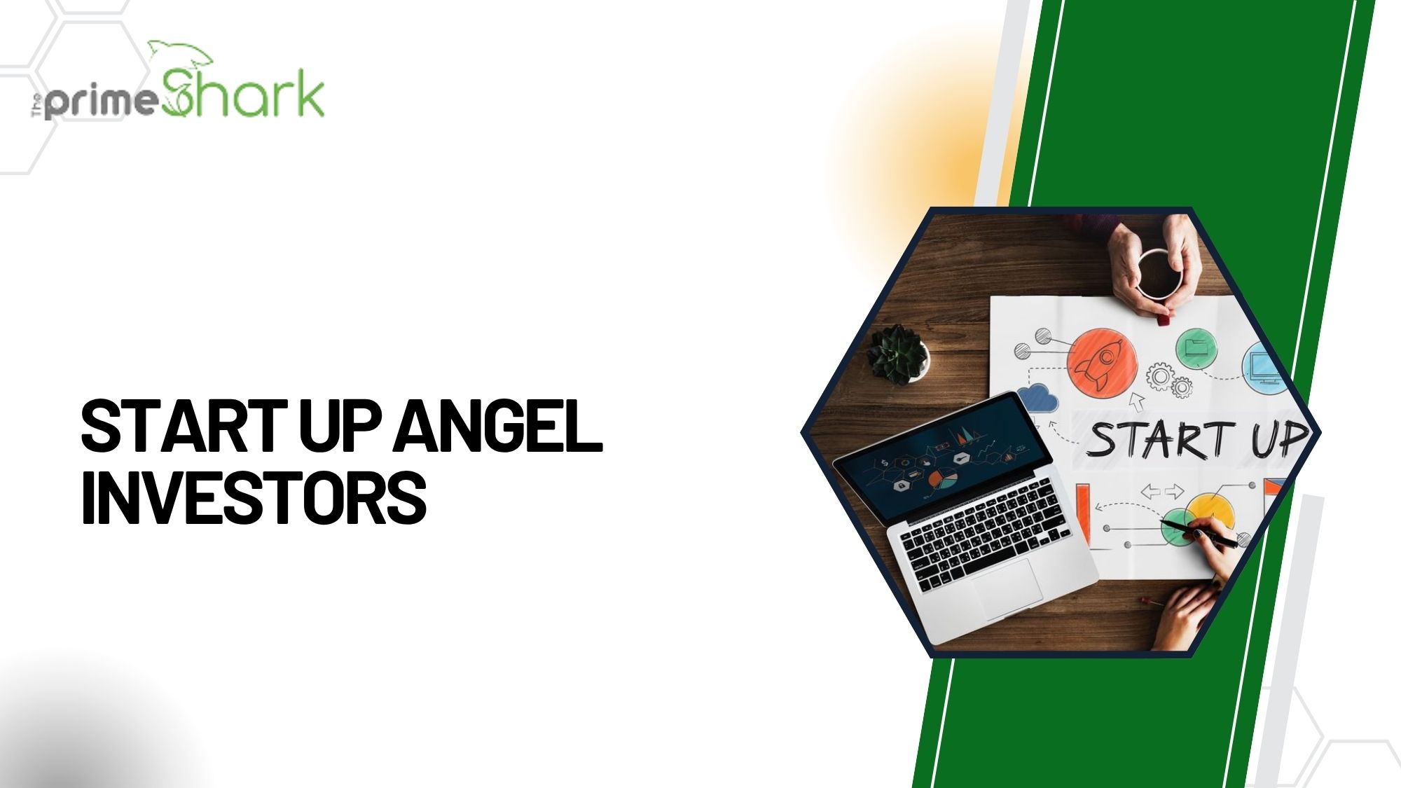 start up angel investors