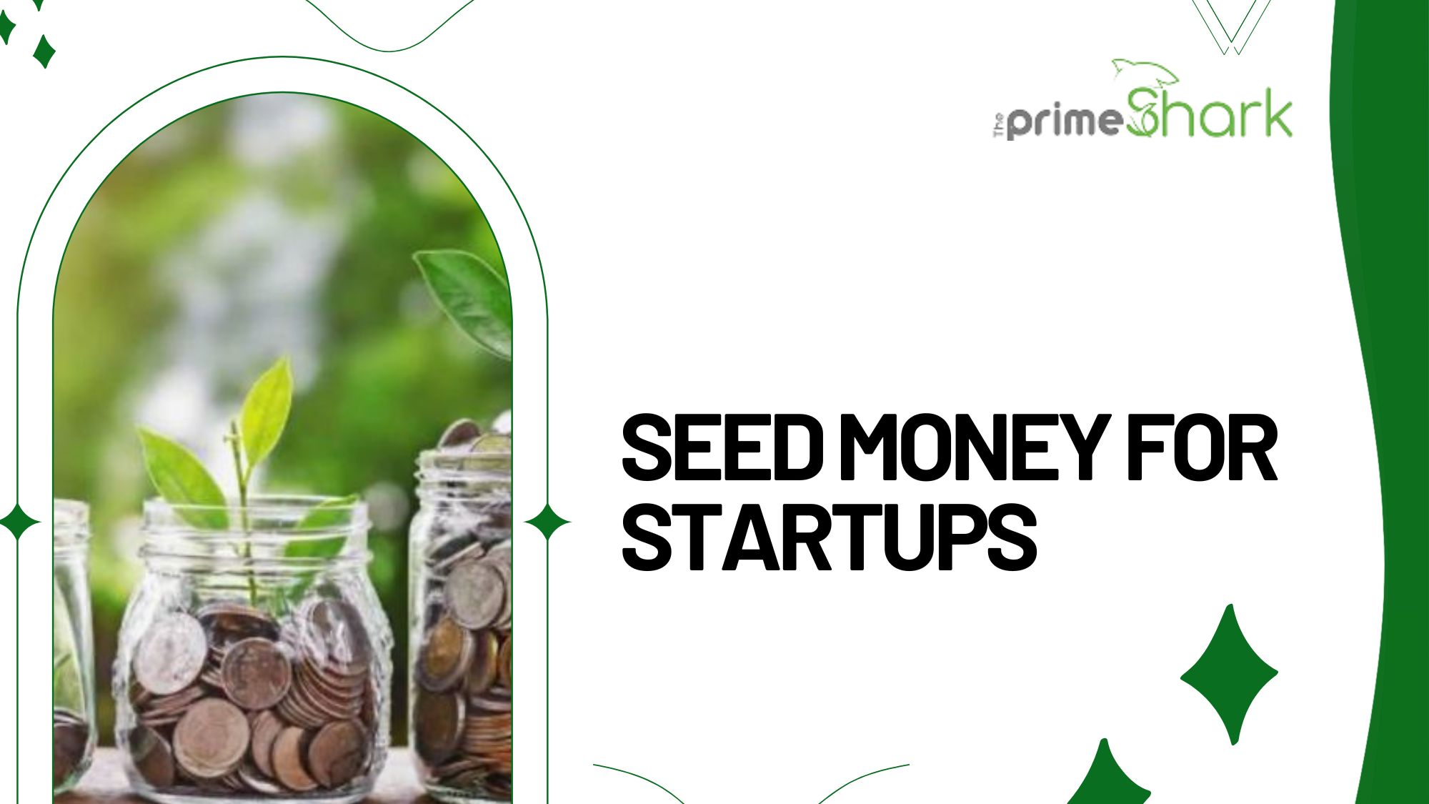 seed money for startups
