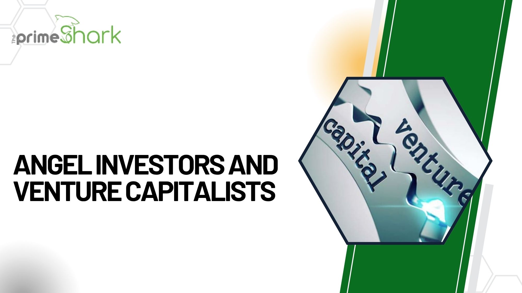 angel investors and venture capitalists