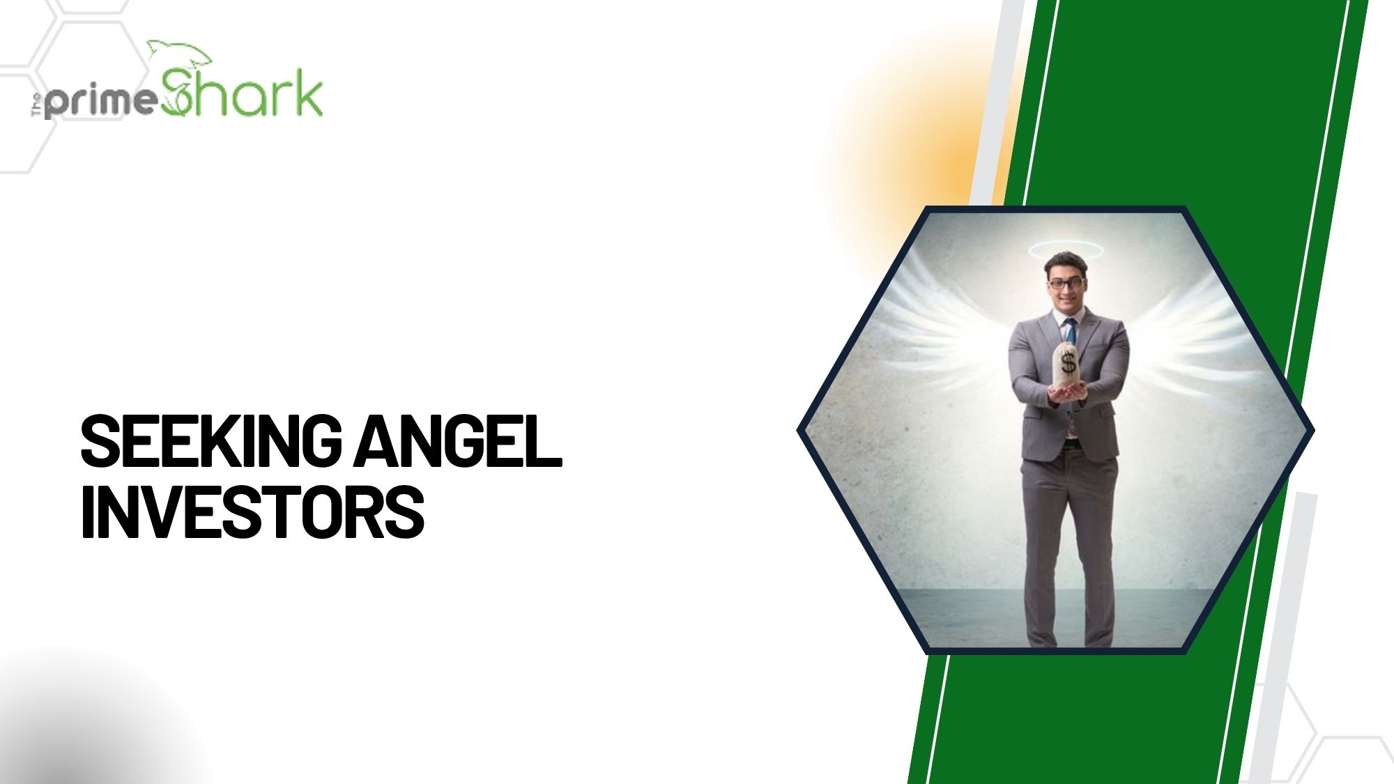 seeking angel investors