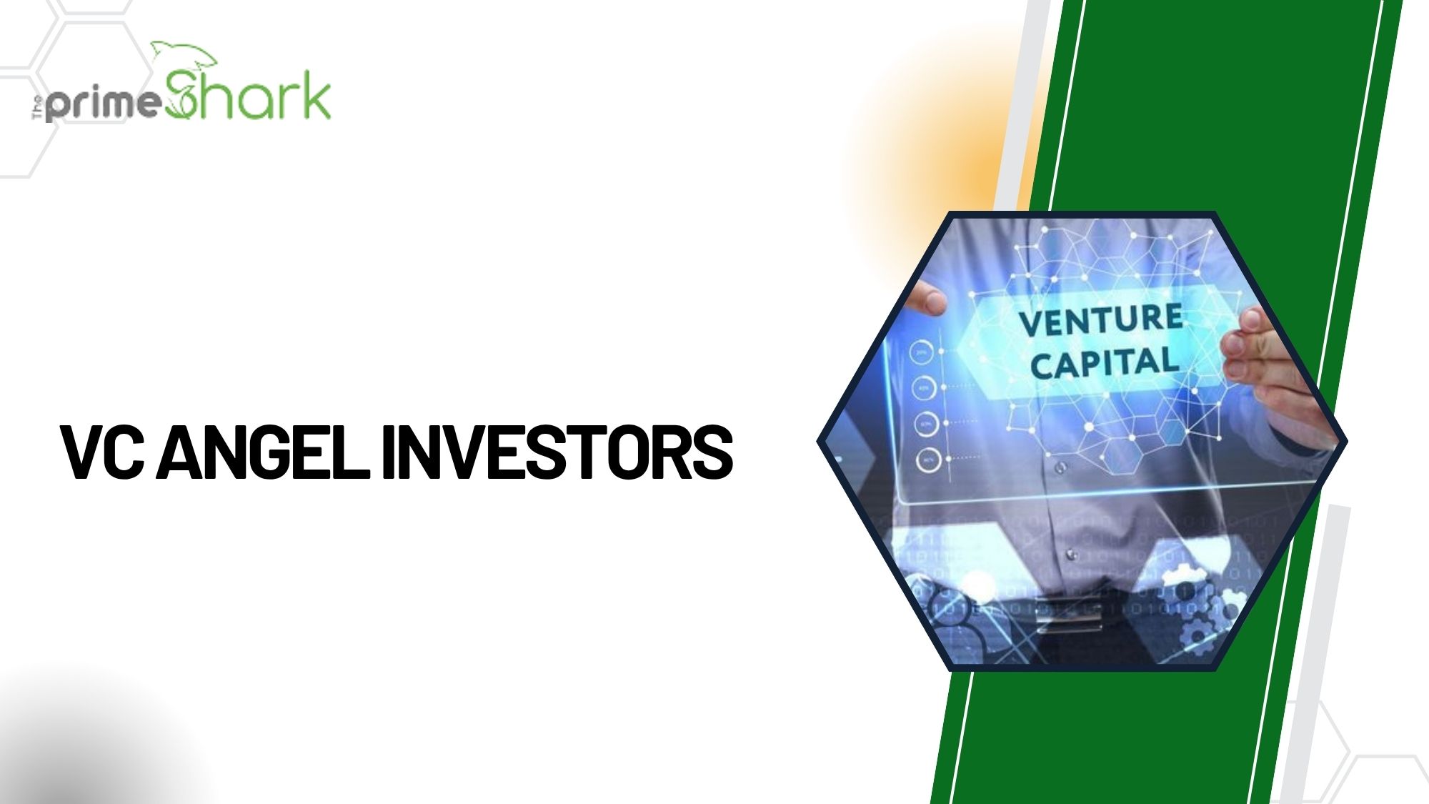 vc angel investors