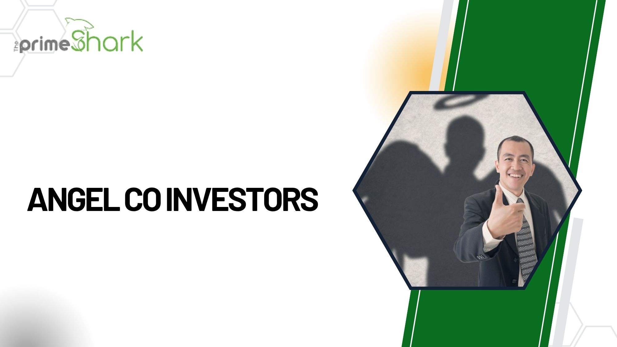 angel co investors