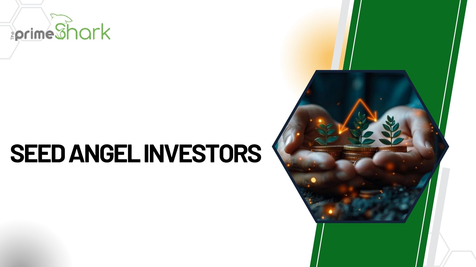 seed angel investors