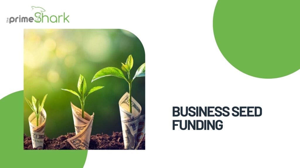 business seed funding