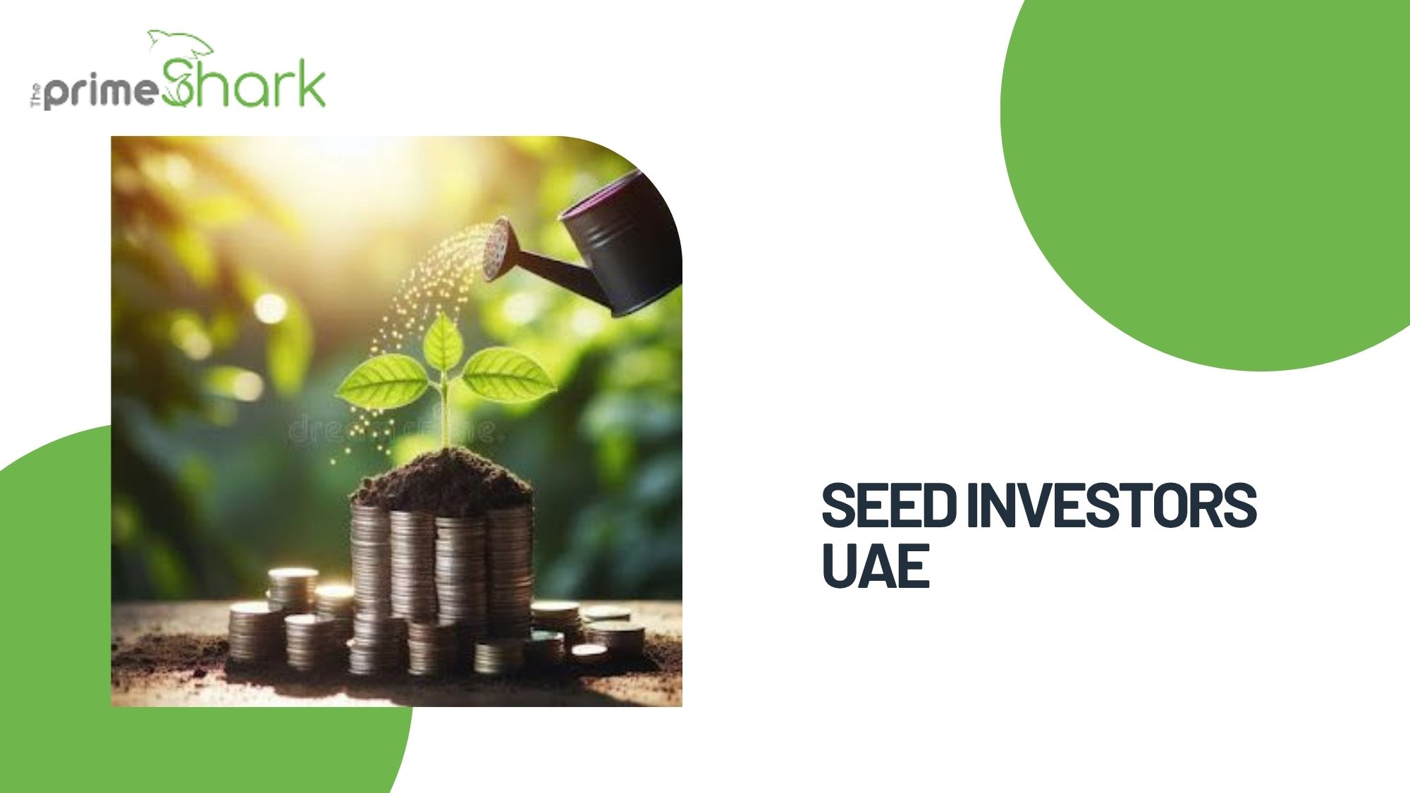 Seed Investors UAE