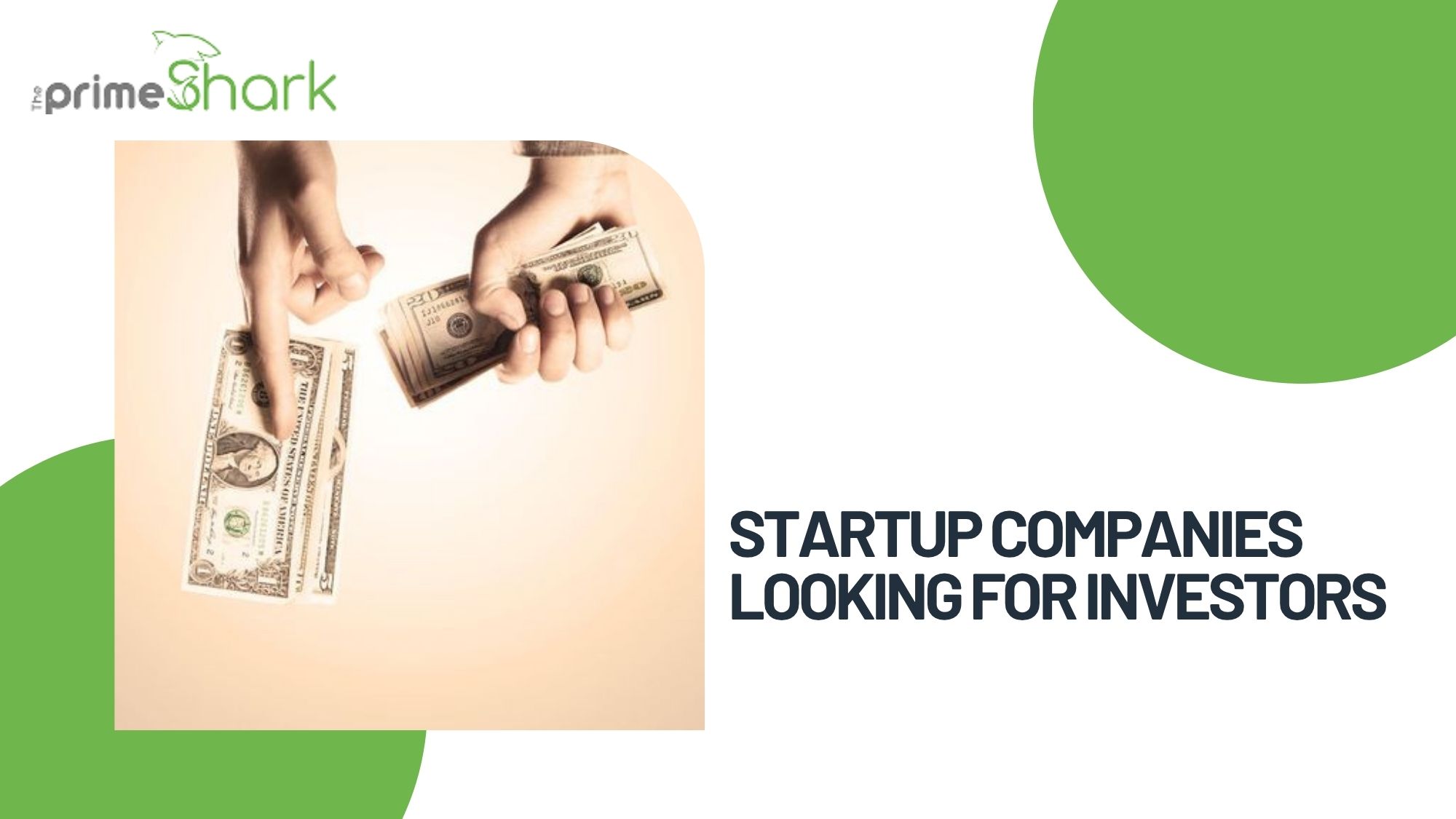Startup Companies Looking for Investors