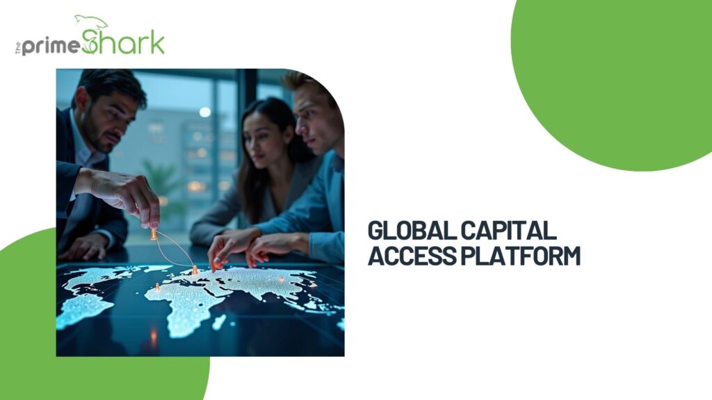 global capital access platform