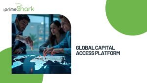 global capital access platform