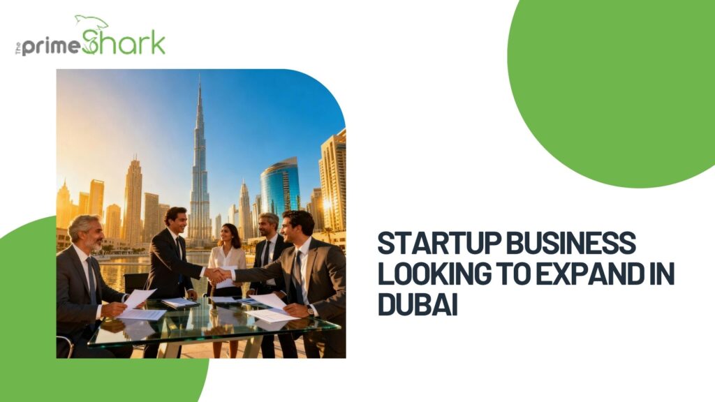 startup business looking to expand in dubai
