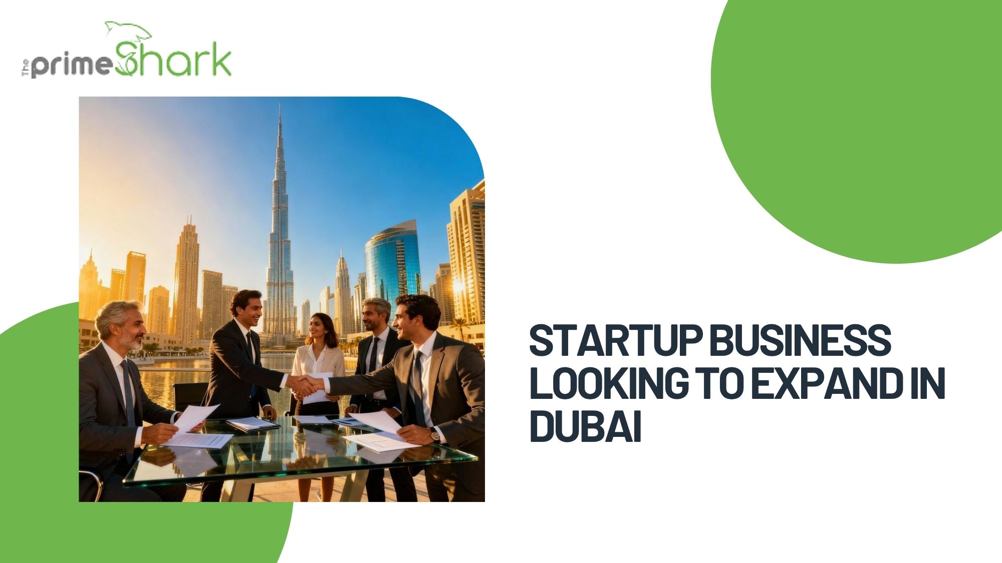 startup business looking to expand in dubai