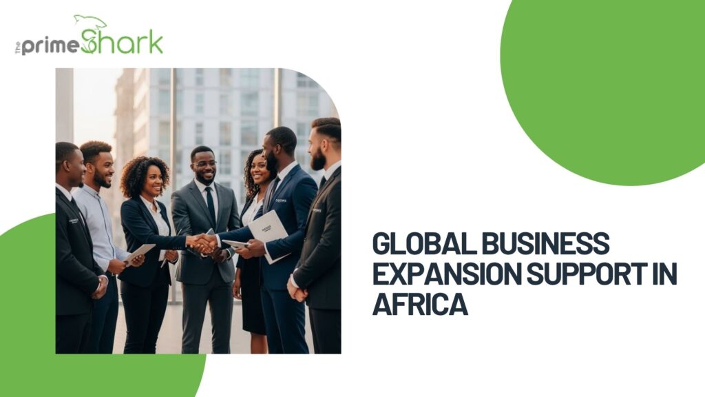 global business expansion support in africa