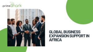 global business expansion support in africa