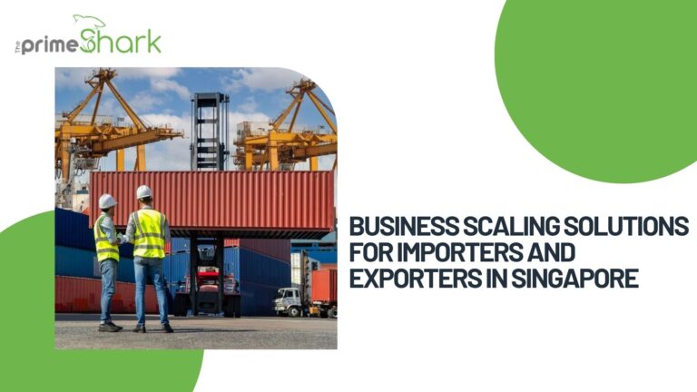 Scaling solutions for Importers and Exporters in Singapore