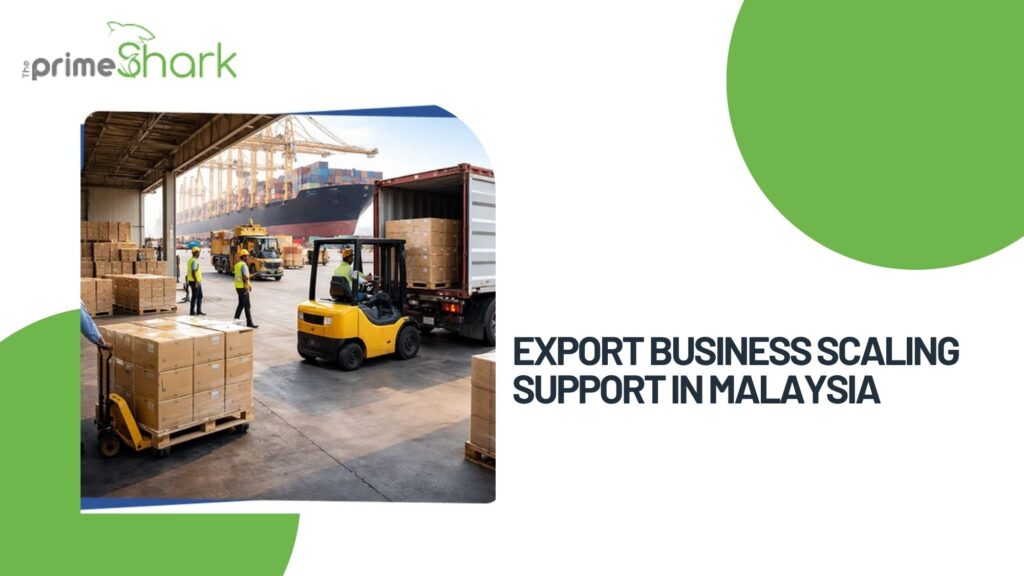 export business scaling support in malaysia