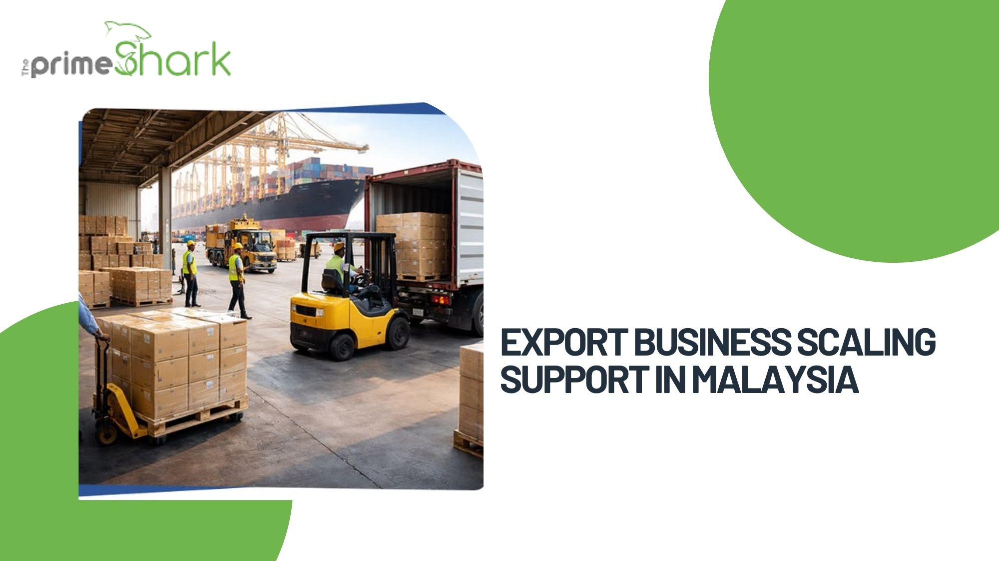 export business scaling support in malaysia