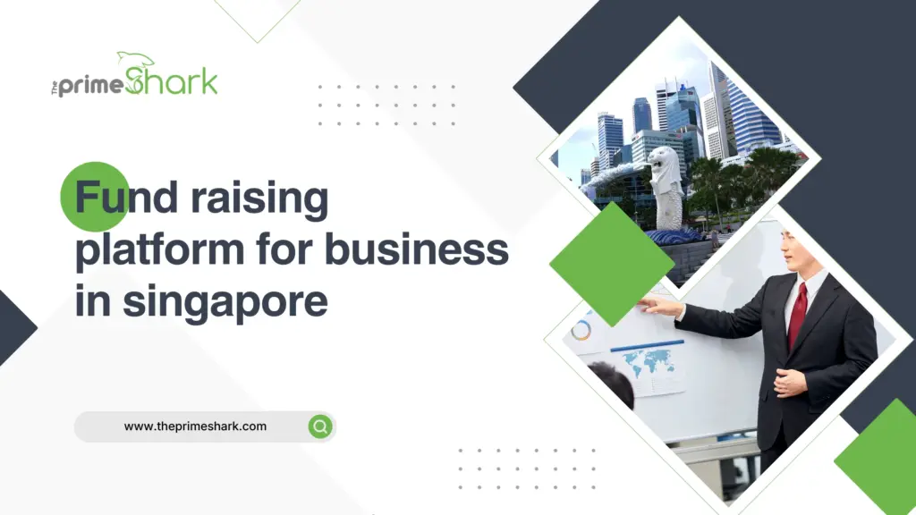 fund raising platform for business in singapore